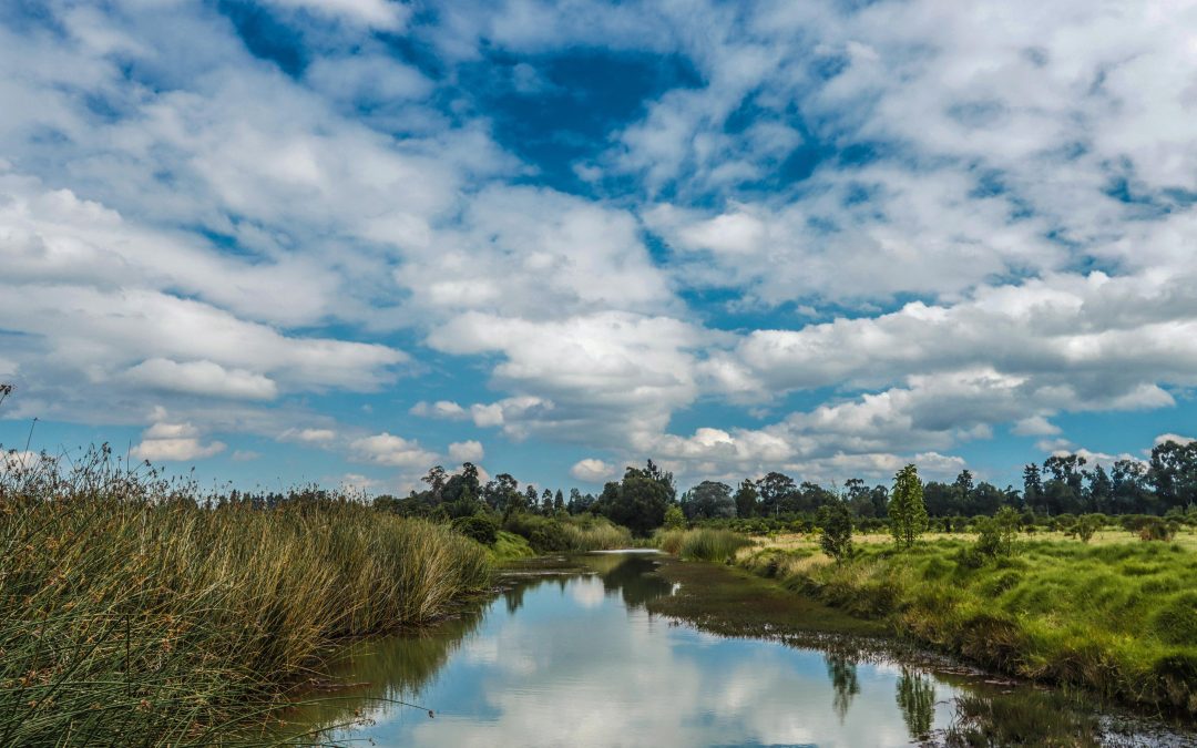 La Sabana de Bogotá merece tener una visión construida en equipo, dice gobernador de Cundinamarca
