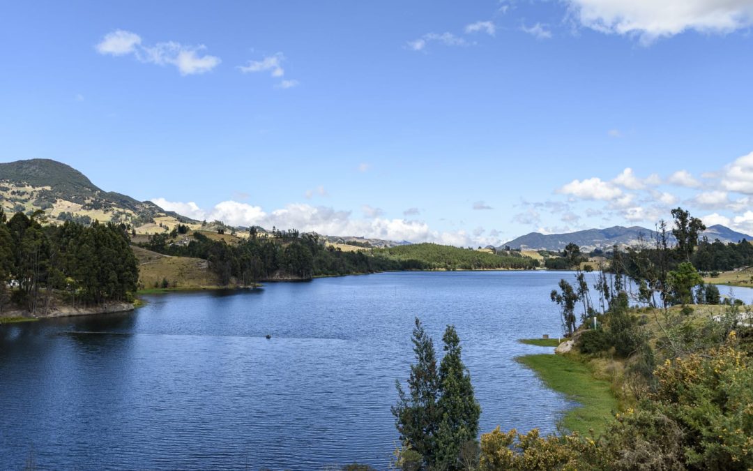 CAR Cundinamarca destaca más de 60 golpes contra la ilegalidad ambiental en 2024