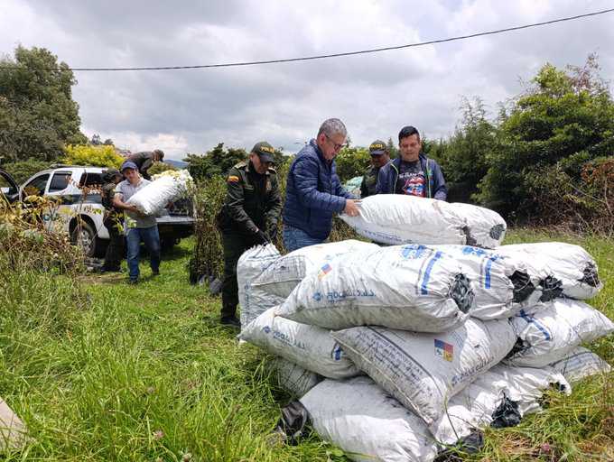 CAR y Policía de Sutatausa incautan carbón vegetal producido ilegalmente en zona de protección hídrica
