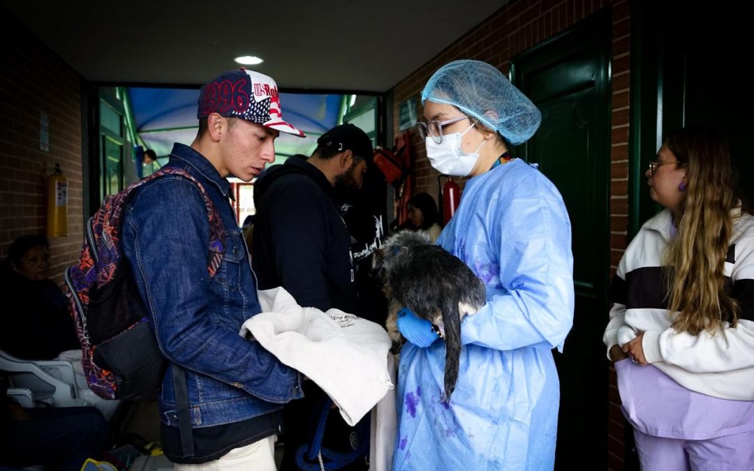 Cundinamarca supera 63.438 esterilizaciones desde 2020 en los 116 municipios