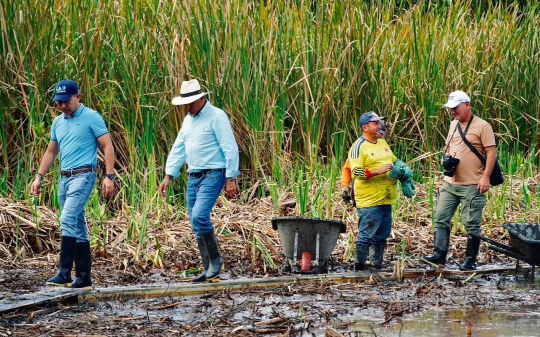 Acciones de la CAR fortalecen cuidado del agua en Nimaima, Cundinamarca