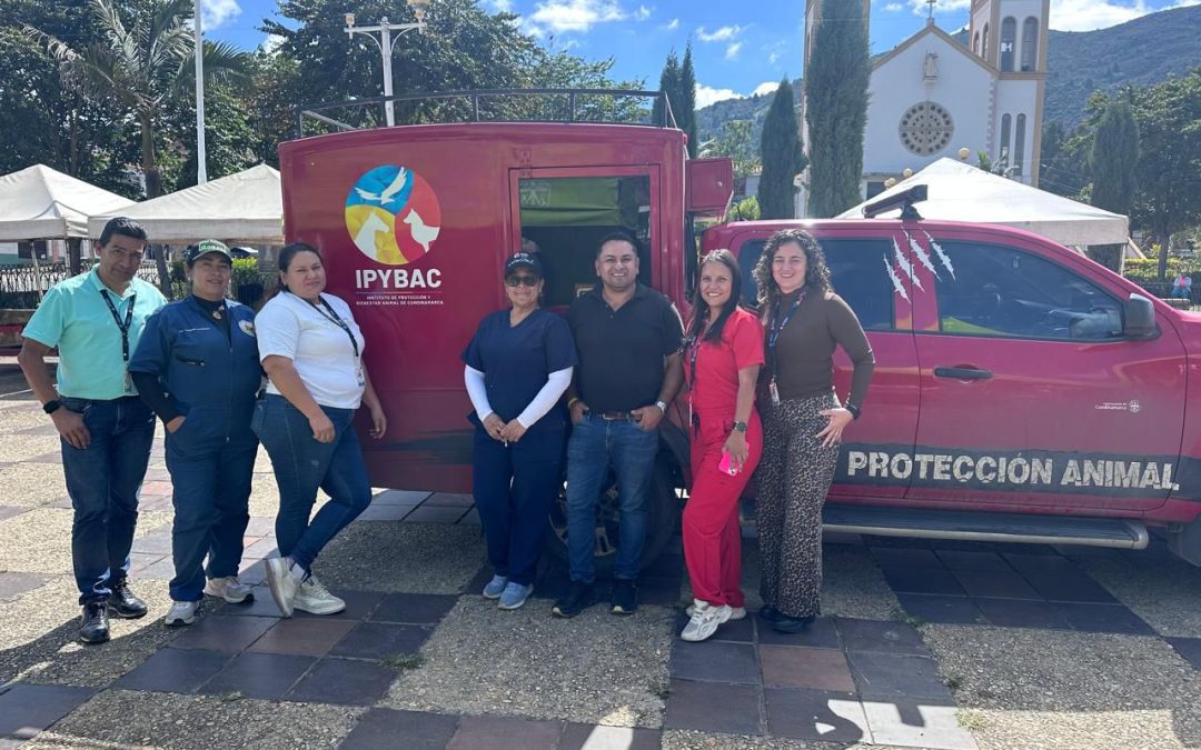 Más de 300 perros y gatos recibieron atención en jornadas de bienestar animal en Cundinamarca