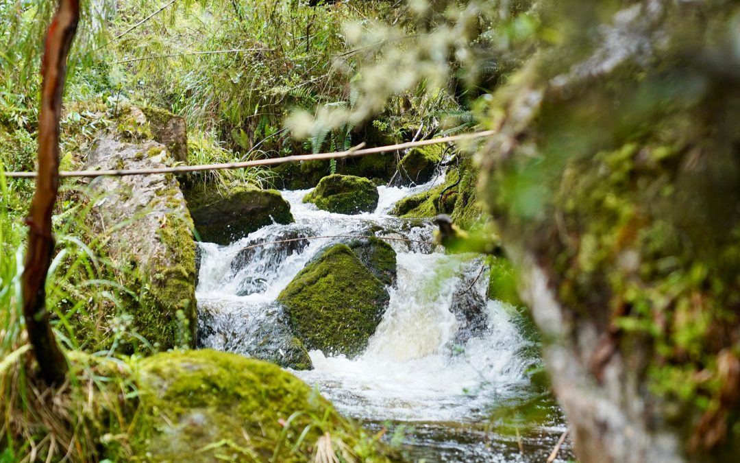 CAR moviliza al territorio para enfrentar la próxima crisis climática